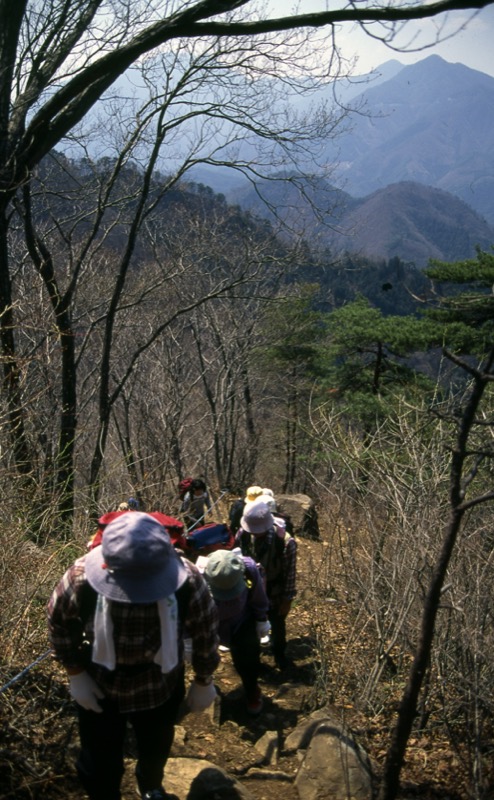 高川山